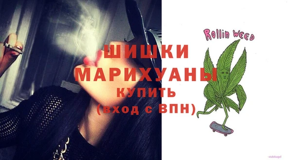 гидра Горнозаводск
