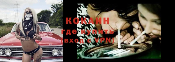 гидра Горнозаводск