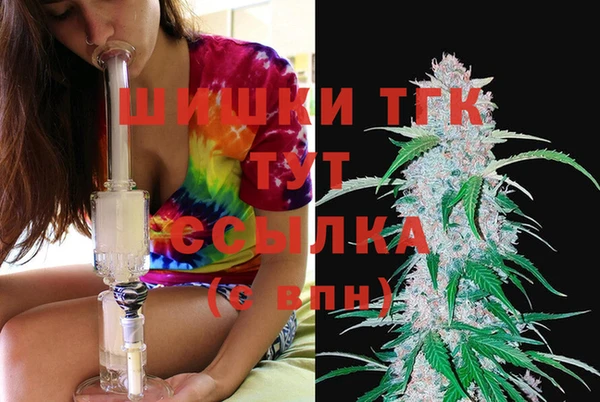 гидра Горнозаводск
