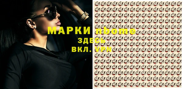 гидра Горнозаводск