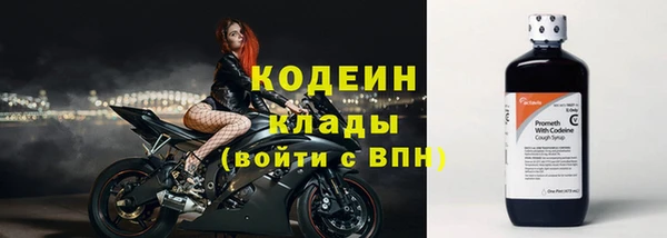 дмт Горно-Алтайск