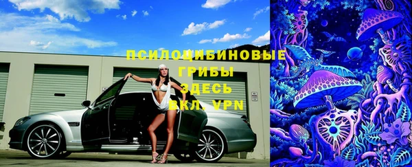 МДМА Гусев