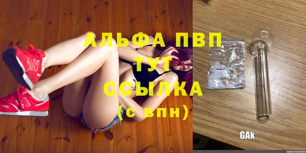 spice Горняк