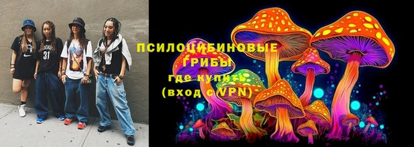 spice Горняк
