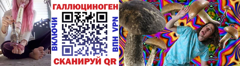 Купить где  Коммунар  Псилоцибиновые грибы Cubensis 